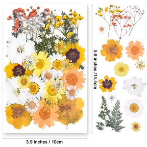 Lot de 35 fleurs séchées pressées jaunes et blanches pour résine époxy, cadre de coque de téléphone, décoration artistique et spécimens - Product Image 1