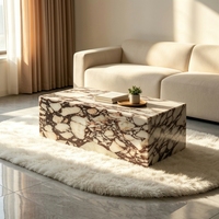 Table basse en marbre Palissandro de style moderne et luxueux pour la décoration de la maison, salon, hôtel, bar, café