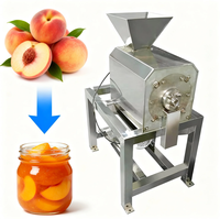 Automatische fruit- en groentepulpmachine van roestvrij staal, 10 kg/uur, 380V, industriële sapcentrifuge met hoge productiviteit voor commercieel gebruik