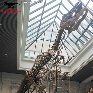 Bộ xương hóa thạch khủng long kích thước thực tế cho triển lãm Bảo tàng khoa học - Product Image 6