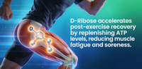 Poudre de D-Ribose - Complément alimentaire pour l'énergie et la récupération sportive, matière première en poudre de D-Ribose