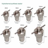 Reaktor Sintesis Hidrotermal Laboratorium Berlapis PTFE 220 Derajat, Autoklaf Baja Tahan Karat 25/50/100/150/200/250/300/500/1000ml
