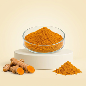 Fabricant de poudre d'extrait naturel de curcuma, fournisseur en gros d'extrait de racine de curcuma à 95% de curcumine - Product Image 1