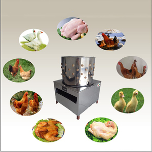 Commercial machine à cueillir le poulet/volaille traitement équipement d'abattage/machine d'épilation - Product Image 4