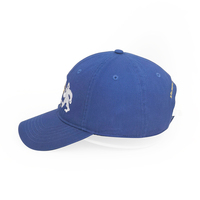 Custom Geborduurde Logo Sport Cap Mode Stijlvolle Groothandel Getailleerde Baseball Petten Voor Heren Kwaliteit Hoed 100% Katoenen Hoeden