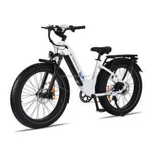 500w Ebike Senada Electric Bike Mountain Bicycle Fat Tire 750W City 20Ah E Cycle Rts Super Max Snow Lithium Usa Ebike For Cargo