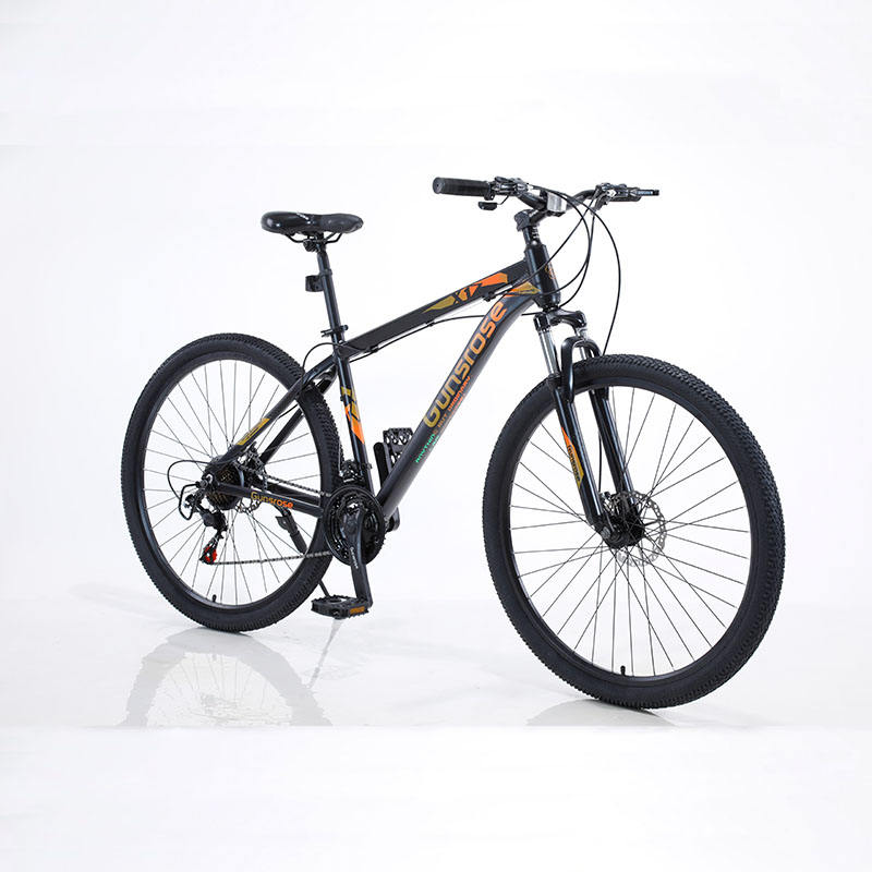 Sepeda Aleoca Full Suspension Schwinn Graft Dual Suspension