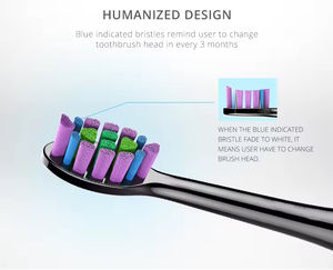 Factory Direct Sales Rechargeable <b>Sonic</b> Electric Toothbrush Deep Cleaning IPX7 Waterproof Soft Bristles 5 Modes Personalization - Product Image 6