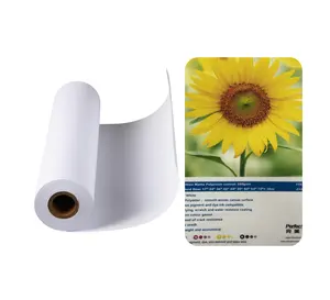 Artista Glossy Matte Satin 100% Algodão Canvas Roll Inkjet Impressão Art Paint Blank Photo Canvas para Galeria