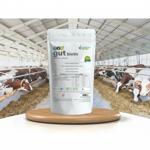Soutien constant à la croissance et à la santé des animaux avec les avantages de l'utilisation de probiotiques dans l'alimentation animale - Product Image 1