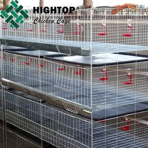 <span class=keywords><strong>Vente</strong></span> chaude Cage à poulets en acier galvanisé durable de type H Cage d'élevage de poussins pour poussins d'un <span class=keywords><strong>jour</strong></span> Accessoires complets Neuf - Product Image 2