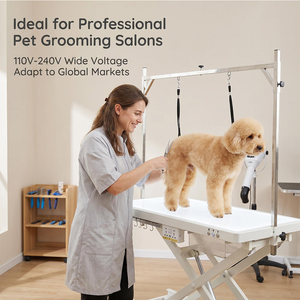 Table <span class=keywords><strong>de</strong></span> toilettage électrique pour chiens AP-809, table réglable en hauteur avec LED, table <span class=keywords><strong>de</strong></span> toilettage électrique pour chiens - Product Image 6