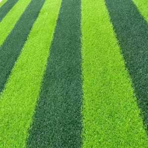 Meisen prix <span class=keywords><strong>pas</strong></span> <span class=keywords><strong>cher</strong></span> <span class=keywords><strong>gazon</strong></span> <span class=keywords><strong>synthétique</strong></span> pour extérieur intérieur jardin aire de jeux football padel terrain de tennis sol sportif <span class=keywords><strong>gazon</strong></span> vert - Product Image 5