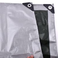 Bâche en PE enduit blanc imperméable 160g/m² pour extérieur, abri de jardin, échafaudage, toile de protection pour animaux domestiques, auvent teinté léger