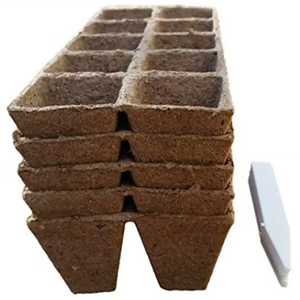 Vaso <span class=keywords><strong>de</strong></span> Papel Ecológico 100% Biodegradable <span class=keywords><strong>para</strong></span> Semillas, Bandeja <span class=keywords><strong>de</strong></span> Siembra, Maceta <span class=keywords><strong>de</strong></span> Turba <span class=keywords><strong>para</strong></span> Plantas y Plántulas - Product Image 2