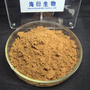 Poudre d'extrait de racine de réglisse biologique de haute qualité, naturelle, sans pollution, <span class=keywords><strong>best</strong></span>-seller, pour le soutien immunitaire des adultes, personnalisable, marine - Product Image 3