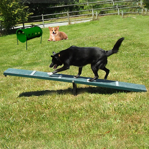 Equipo redondo de reproducción personalizado de fábrica, equipo de parque para perros, rampa para caminar para perros, arco, barril Wow, obstáculos de agilidad de salto ajustables - Product Image 6