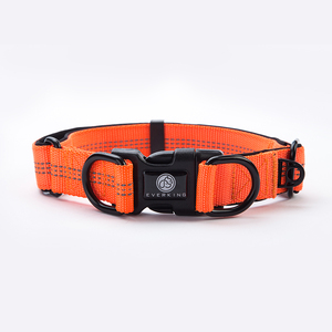Premium quality adjustable reflective side band waterproof Safety training dog Collar Nylon travel dog dog <span class=keywords><strong>s</strong></span> active - Product Image 1