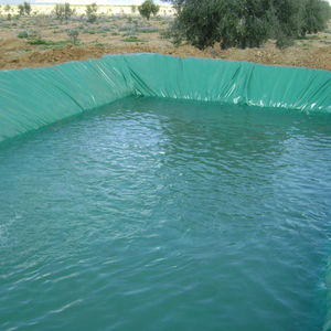 Vật liệu không thấm nước HDPE Pond Liner HDPE geomembrane Pond Liner cho hồ nhân tạo - Product Image 4