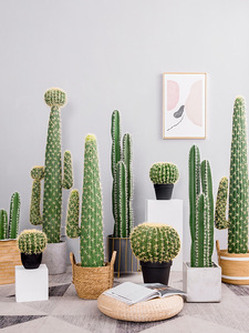 Cactus Artificiali, Piante di Cactus Finte in Vaso per Decorazione di Casa, Negozio e Ufficio - Product Image 6