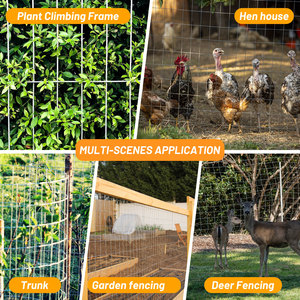 15GA Galvanized Welded <b>Wire</b> <b>Mesh</b> Roll 60inch x 50FT 2in x 4in Opening for Outdoor Fence Protection - Product Image 5