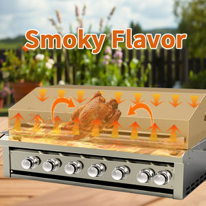 Parrilla de Gas Empotrada de Acero Inoxidable 304 con 7 Quemadores para Cocina Exterior, Barbacoa y Fiestas en Zonas de Aficionados al Fútbol - Product Image 4