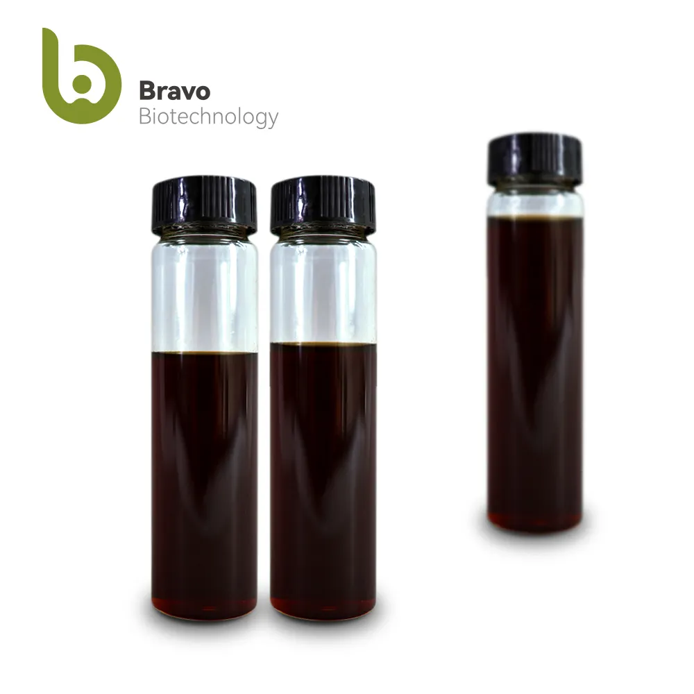 2024 China high standard product new arrival natural coffee essential oil ordinary competitive price coffee essential oil
