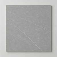 Carrelage en céramique blanche pour comptoir et mur intérieur, texture aspect pierre, pour usage extérieur et fonction antidérapante