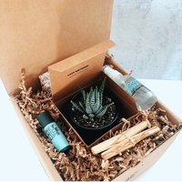 Boîtes d'emballage ondulé en papier kraft pour plantes boîtes d'expédition boîtes d'expédition rigides pour plantes succulentes