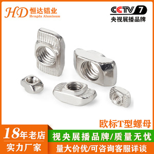 Inserts filetés métriques Hengda T-nut, résistance 8.8, accessoires pour profilés en aluminium industriels - Product Image 5