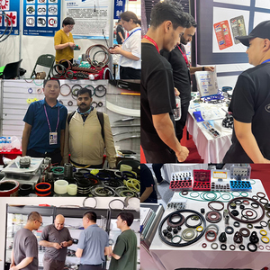 Dto 42*66*10 62/30/16 25*38*14.5 sử dụng cho Inc 53382 90*130*17 thử cỏ ba lá bơm con dấu dầu cơ khí C216 - Product Image 4