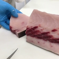Filet de poisson-sabre premium désossé, surgelé IQF, coupé en blocs, portion sashimi, capture sauvage de l'océan, 100% filet, SG Export, en vrac, Xiphias