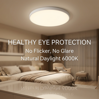 Vente directe usine Plafonnier LED triple protection IP54 étanche à l'eau, à la poussière et aux insectes, moderne, à montage en saillie, télécommande AC