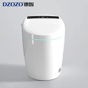 Wc Commode Westerse Hedendaagse Badkamer Intelligente Inodoros Sanitair Smart Langwerpige Toiletten