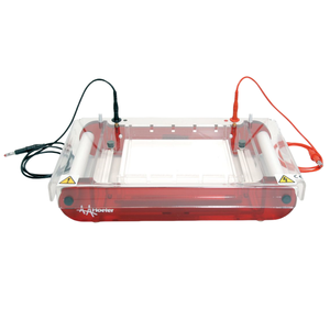 होफर प्रयोगशाला मिनी पनडुब्बी क्षैतिज आगोरेली जेल इलेक्ट्रोफोरेसिस यूनिट बायोमोलेक्यूल्स डाना न्यूक्लिक एसिड इलेक्ट्रोफोरेसिस - Product Image 4