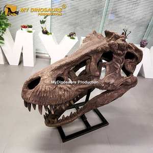 MY DINO-calaveras <span class=keywords><strong>de</strong></span> dinosaurio DS070, calaveras <span class=keywords><strong>de</strong></span> dinosaurio fósil t-rex, Color realista o tamaño real personalizado - Product Image 2