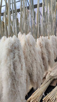 Bunga Kering Alami Buket Rumput Pampas Pink Termasuk Vas Dekorasi Rumah, Grosir untuk Hari Ibu, Natal, Paskah, Penjualan Panas