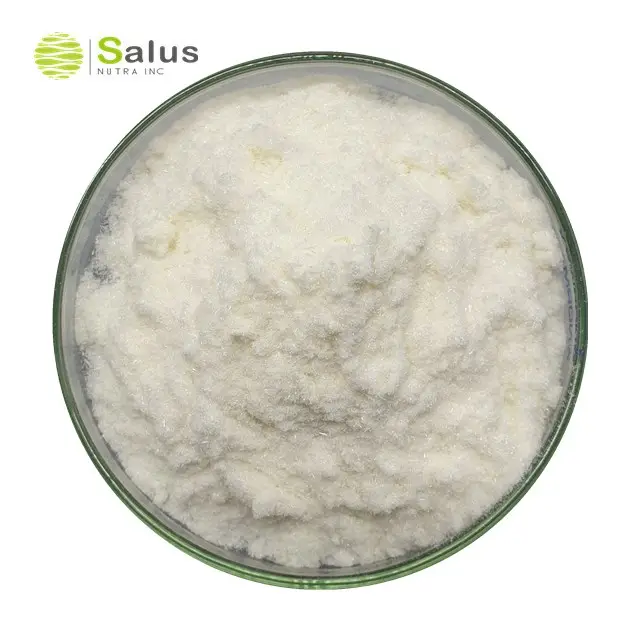 SALUS Hot Sale Natural Ferulic Acid Powder Ferulic Acid 98%