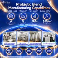 Fabricant OEM de probiotiques en gros – Mélange anti-stress 600 milliards d'UFC/g pour capsules, bandes et comprimés pressés