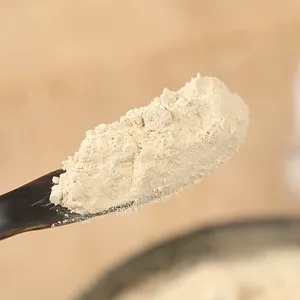 Fabricante profissional Pure Natural Organic <span class=keywords><strong>Shiitake</strong></span> Mushroom <span class=keywords><strong>Powder</strong></span> Econômico Original Sabor Tempero Tempero Spice - Product Image 3