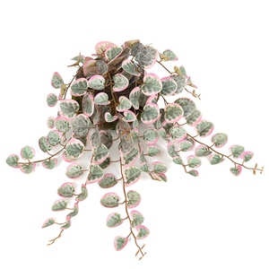 Guirlande artificielle de cœurs suspendus avec feuilles de cœurs variées pour décoration murale bohème - Product Image 3