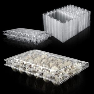 Yeniden kullanılabilir bıldırcın yumurta kartonları plastik bıldırcın yumurta kartonları temizle bıldırcın şeffaf plastik saklama kabı şeffaf bıldırcın yumurta tepsisi konteyner - Product Image 6