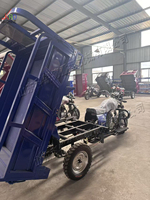 Tricycle à essence à vente chaude en Afrique, moto à trois roues à essence, vente de qualité, facile à utiliser