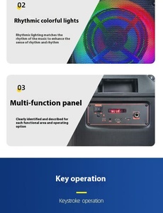 8 inch RGB LED cho <span class=keywords><strong>Bluetooth</strong></span> Karaoke Loa 20 Wát Micro không dây nhảy vuông loa siêu trầm TF cho nhà ngoài trời Pin hoạt động - Product Image 4