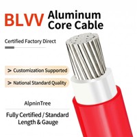 OEM-Fabrik Flammensicheres Elektrokabel für Elektroingenieure BLV BLVV OFA PVC-Hausverdrahtungskabel für Bauarbeiten