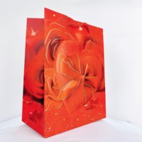 Saint Valentin Amant Amour Carte Blanche Poudre Saupoudrage Sac Cadeau Tableau Ivoire avec Impression Numérique Laminage Ruban Accessorisé