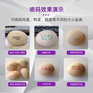 High Speed Six Head <b>Egg</b> Inkjet Printer Fully Automatic Coding Machine <b>For</b> Chicken Duck <b>Bird</b> <b>Eggs</b> Production Date Logo Printing - Product Image 5