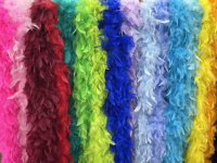 Plume artisanale moelleuse 40g 60g 80g 100g, Boa en plumes de dinde 2 Yards pour robe, costume, décoration de mariage et de fête
