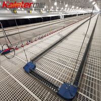 Système d'alimentation automatique pour poulets reproducteurs – Équipement avicole pour élevages – Ligne d'alimentation en chaîne pour poulets