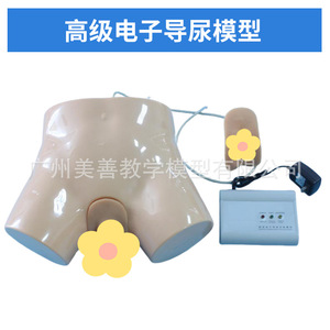 Modelo avanzado de cateterización electrónica; modelo intuitivo de práctica para la anatomía de las partes genitales internas y externas masculinas y femeninas. - Product Image 5